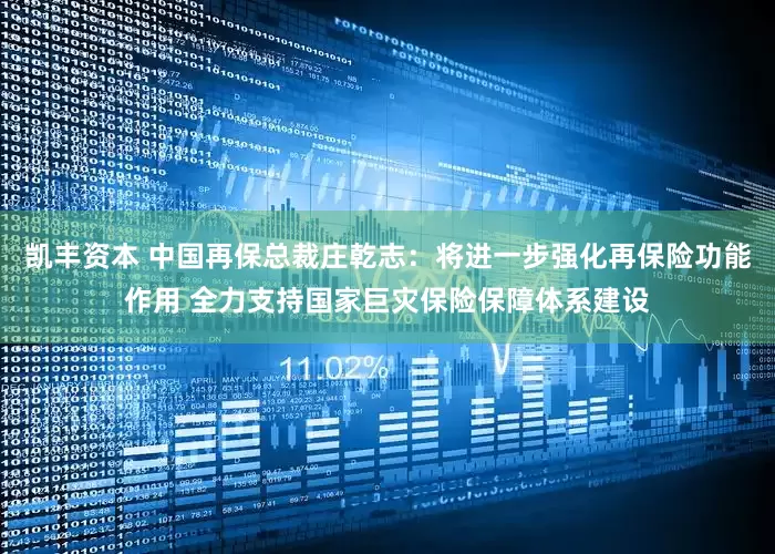 凯丰资本 中国再保总裁庄乾志：将进一步强化再保险功能作用 全力支持国家巨灾保险保障体系建设