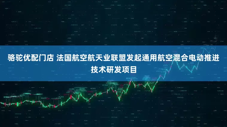 骆驼优配门店 法国航空航天业联盟发起通用航空混合电动推进技术研发项目