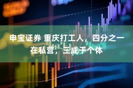申宝证券 重庆打工人，四分之一在私营，三成干个体