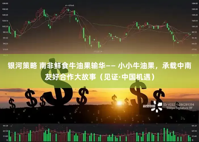 银河策略 南非鲜食牛油果输华—— 小小牛油果，承载中南友好合作大故事（见证·中国机遇）