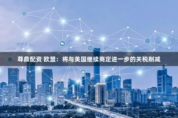 尊鼎配资 欧盟：将与美国继续商定进一步的关税削减