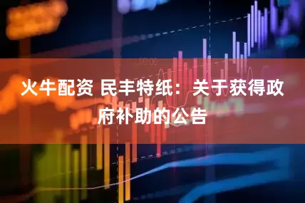 火牛配资 民丰特纸：关于获得政府补助的公告