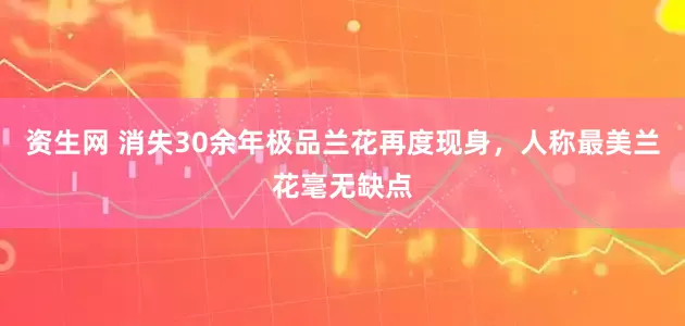 资生网 消失30余年极品兰花再度现身，人称最美兰花毫无缺点